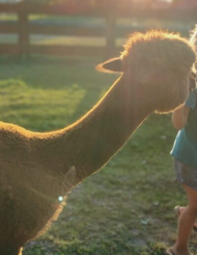 animaloterapia z Michaelem