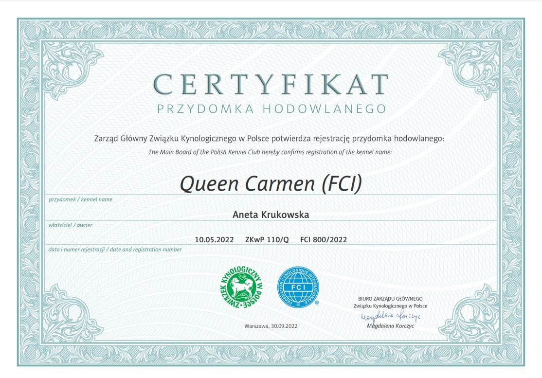 certyfikat przydomka hodowlanego Queen Carmen