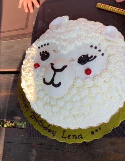 tort urodzinowy alpaka