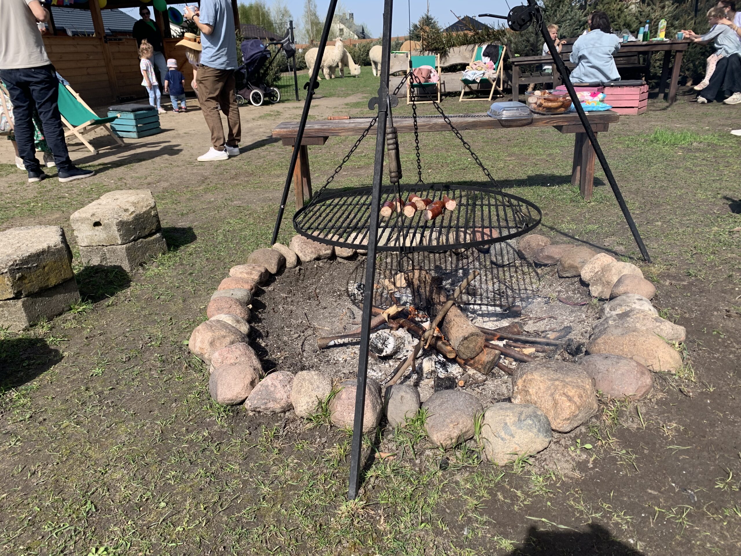 IMG_8047 teren z ogniskiem wśród zwierząt